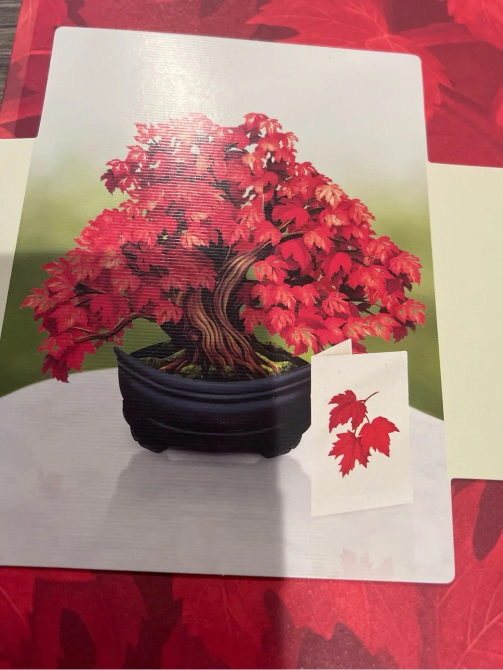 fresh Red Maple Tree Pop-Up Card
